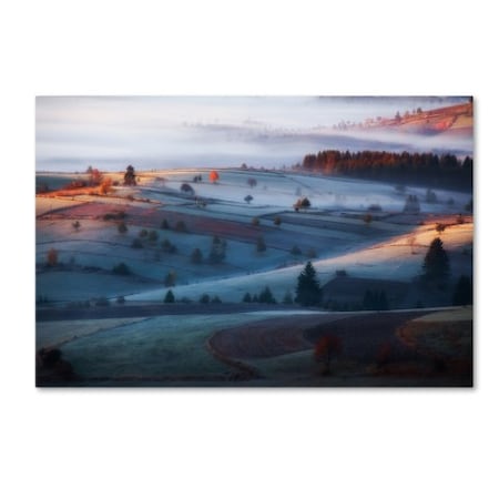 Trademark Fine Art Amir Bajrich 'Mist' Canvas Art, 16x24 1X02734-C1624GG